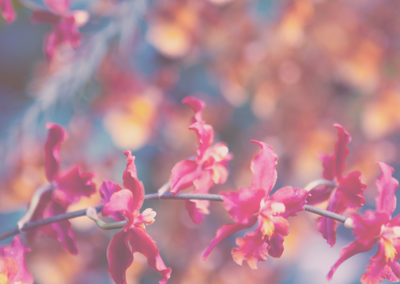 DDOS在线压力测试